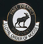 Past District President Lapel Pin